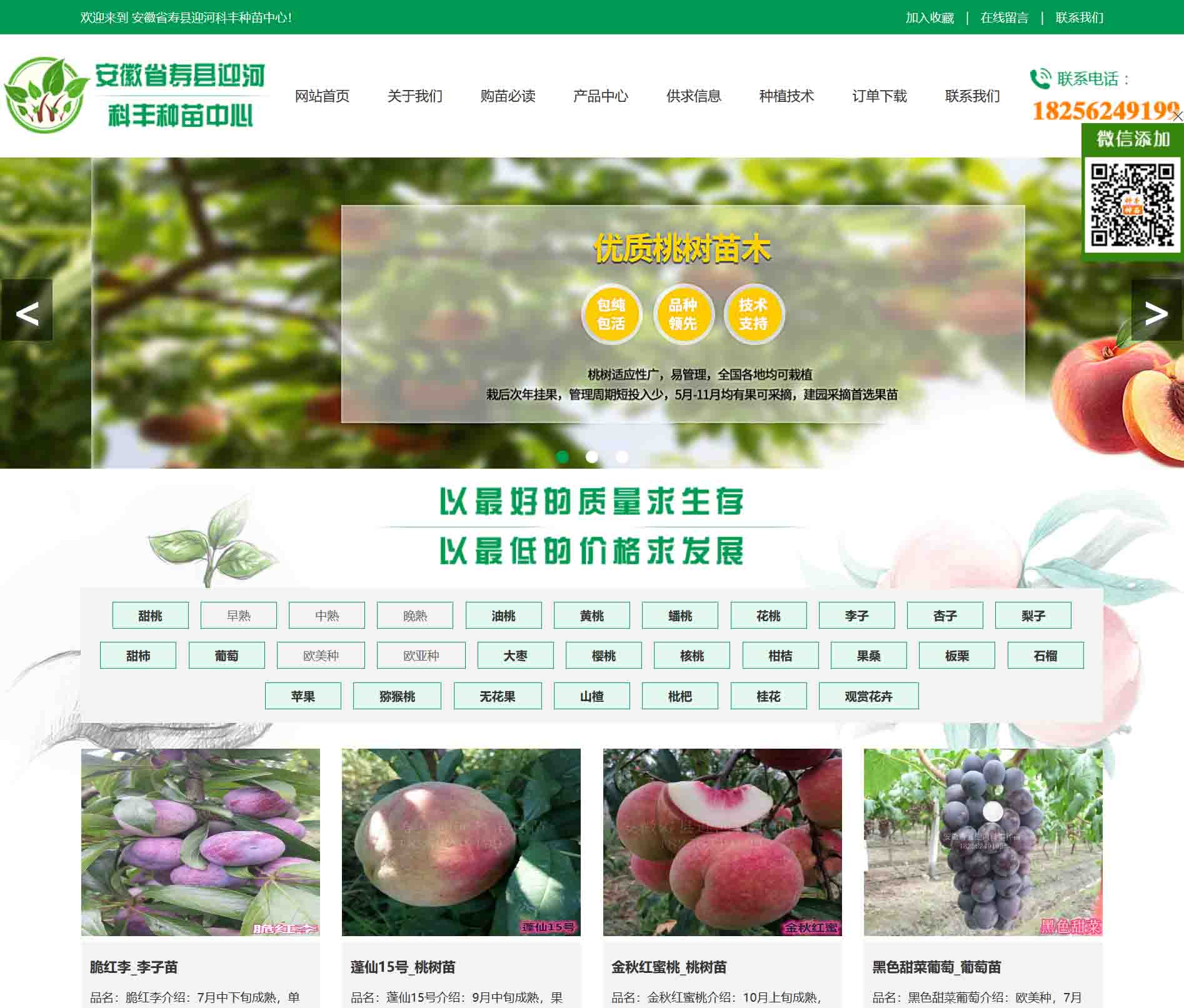 安徽省壽縣迎河科豐種苗中心